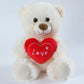 25CM Cute Heart Bear Dog Plush Toys Red Heart Print Love Creative Animal Stuffed Doll For Lovers Valentine's Day Gifts