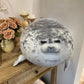 Angry Blob Seal Pillow Chubby 3D Novelty Sea Lion Doll Plush Stuffed Toy Baby Sleeping Throw Pillow Gifts for Kids Girls