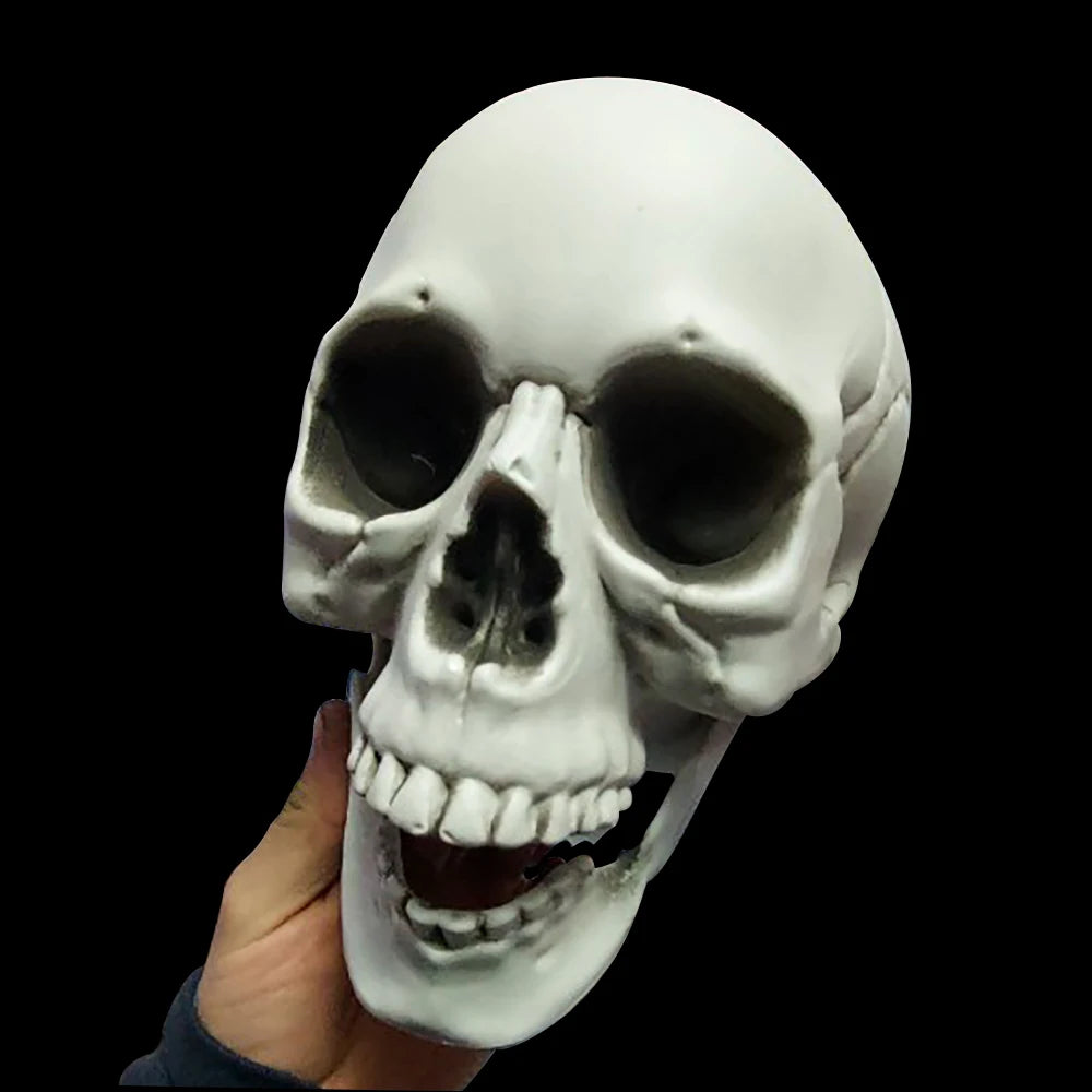 Halloween Skull Decoration,Realistic Plastic Skull,Head Skeleton,Halloween Party Home Yard Decoration,Haunted House Horror Props