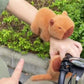 Lovely Capybara Animal Slap Snap Wrap Wristband Bracelet Plush Stuffed Animal Kawaii Capybara Hand Ring Wristband Kid Funny Toys