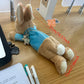 Cute Plush Rabbit Pencil Case Kawaii Doll Back To School Storage Bag Pen Bag Stationery Student Stationery School Supplies