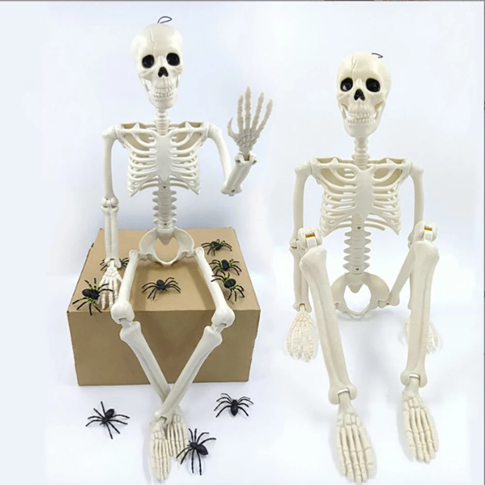 Halloween Decorations Skeleton,Posable Human Shape Skeleton,Halloween Fake Bone Horror Decoration
