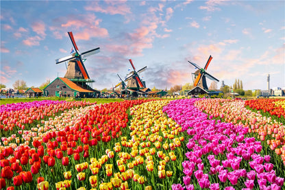 1 Box 500 Pieces 46*28cm Jigsaw Puzzles 500 Pieces Cardboard Picture Landscape Oil Painting Art Puzzles Family Games