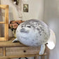 Angry Blob Seal Pillow Chubby 3D Novelty Sea Lion Doll Plush Stuffed Toy Baby Sleeping Throw Pillow Gifts for Kids Girls