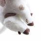22cm Movie Moana Pet Pig Pua Stuffed Toy Animals Lovely Cute Soft Cartoon Plush Dolls Kids Birthday Christmas Gift