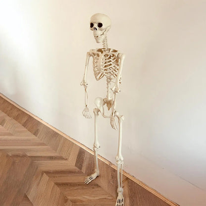 Halloween Realistic Body Bones Life Size Human Skeleton With Posable Joints Simulation Skull Ornament Haunted House Horror Props